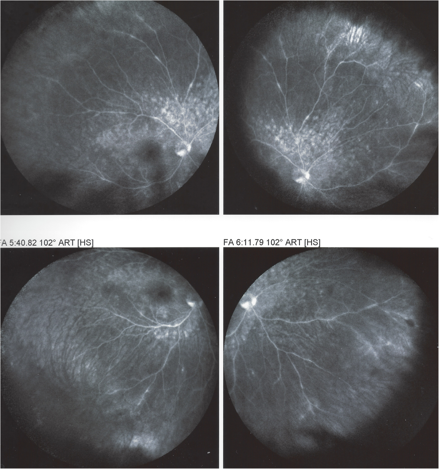 Fig. 6