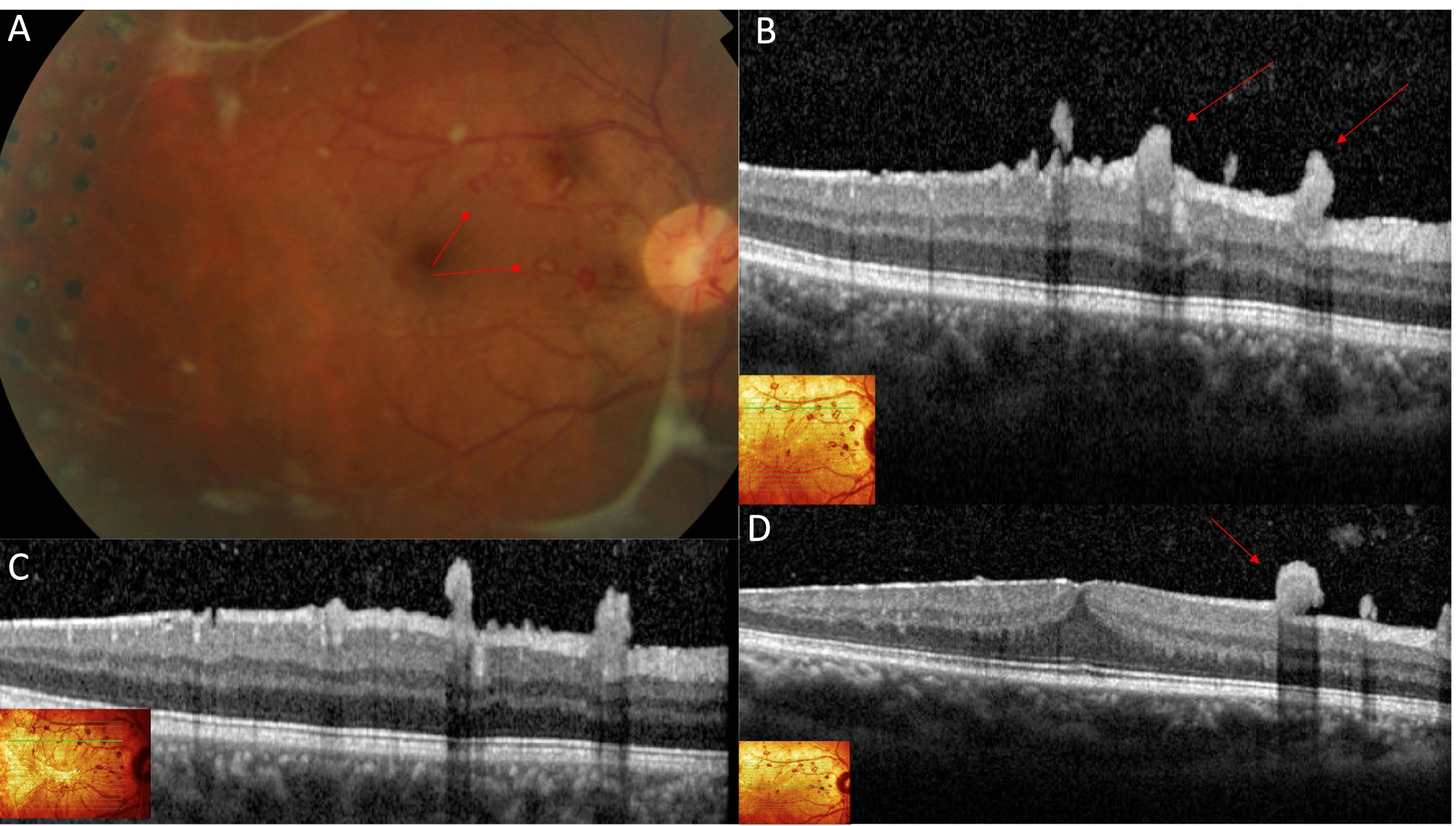 Fig. 2