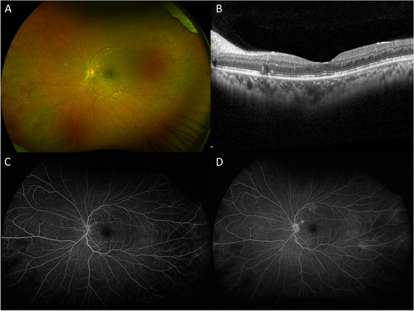 Fig. 3