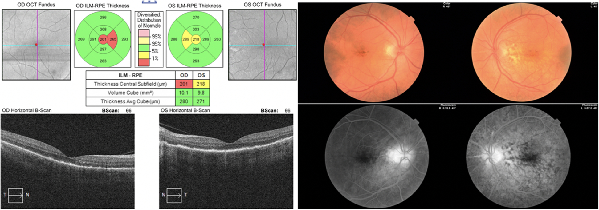 Fig. 7