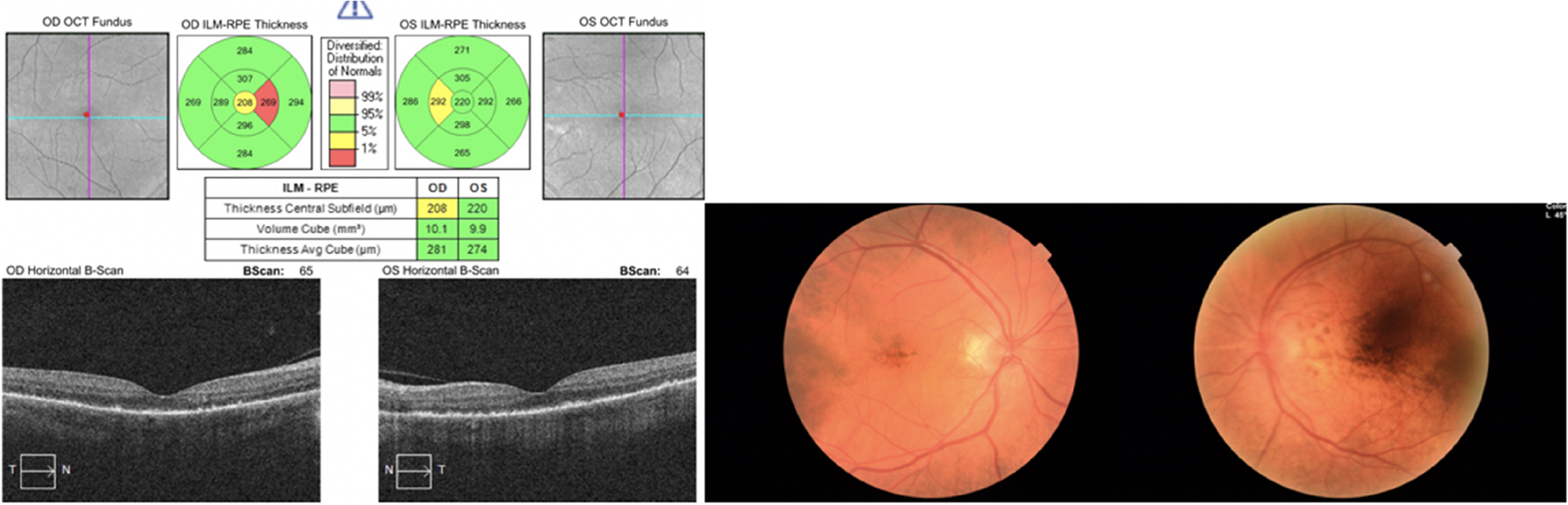 Fig. 8