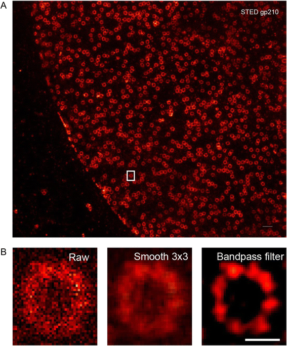 Fig. 3