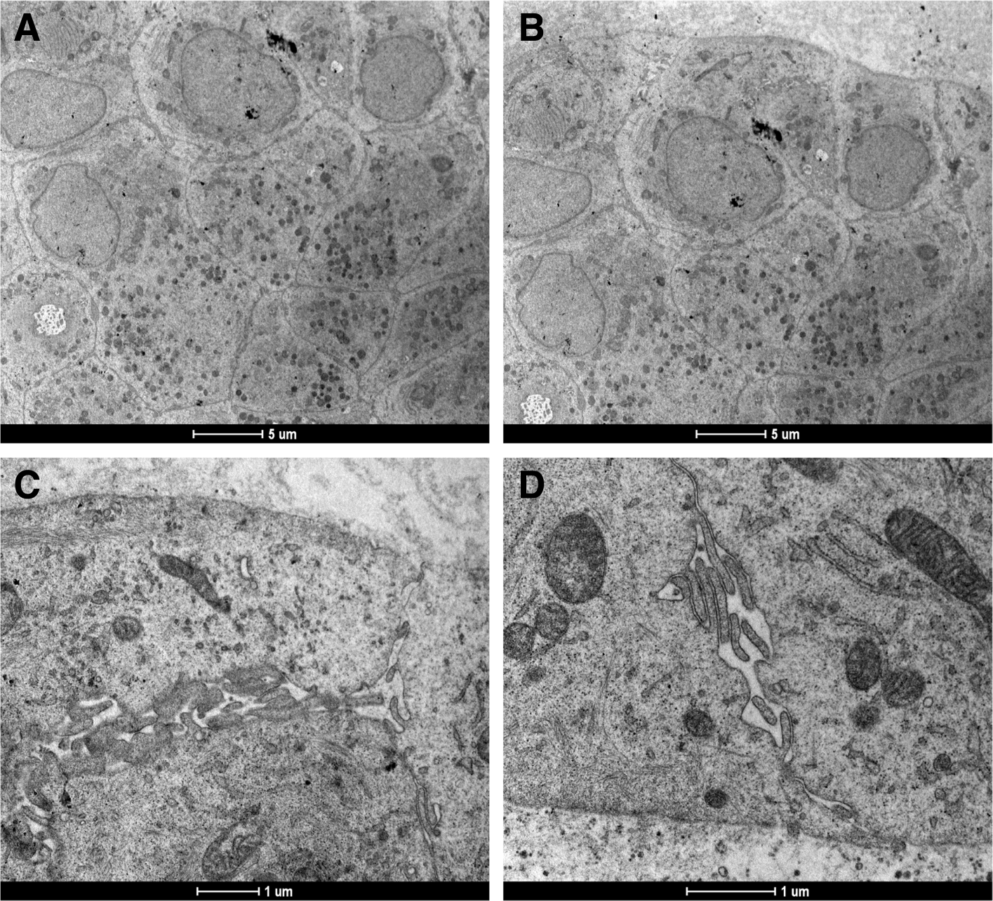 Fig. 11