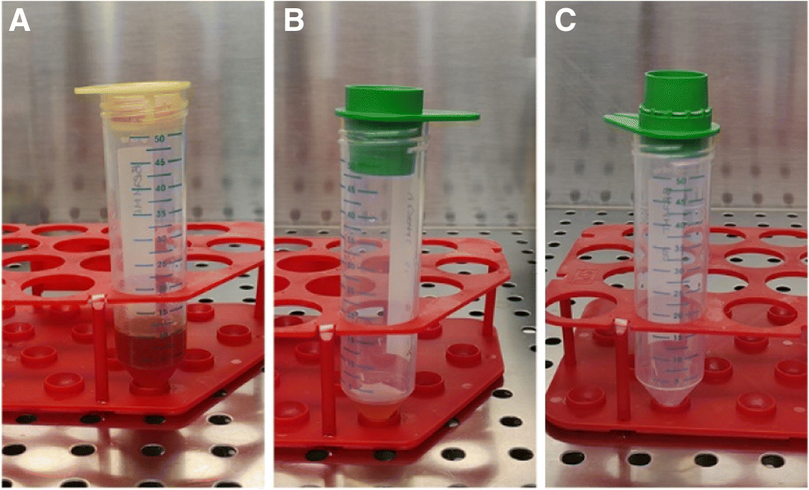 Fig. 12