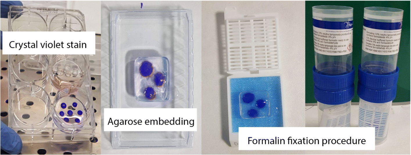 Fig. 16