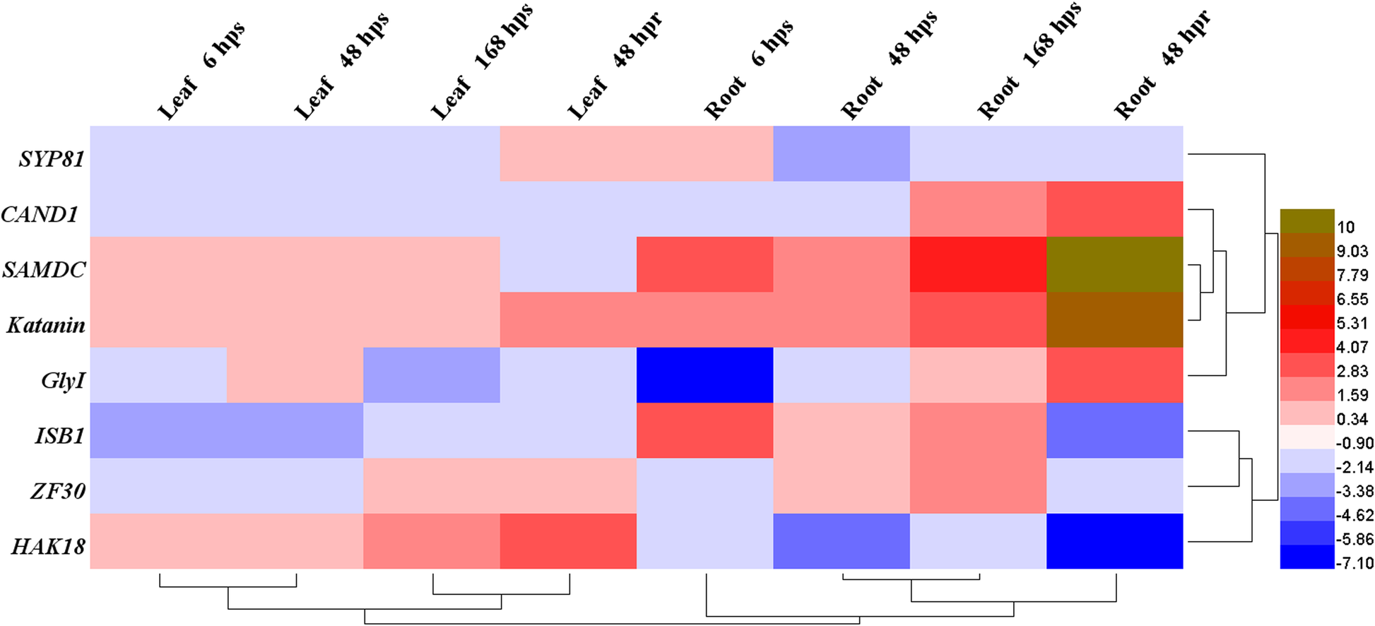 Fig. 7