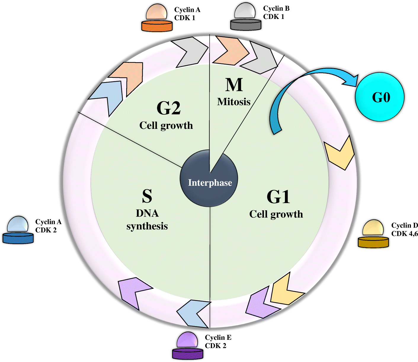 Fig. 3