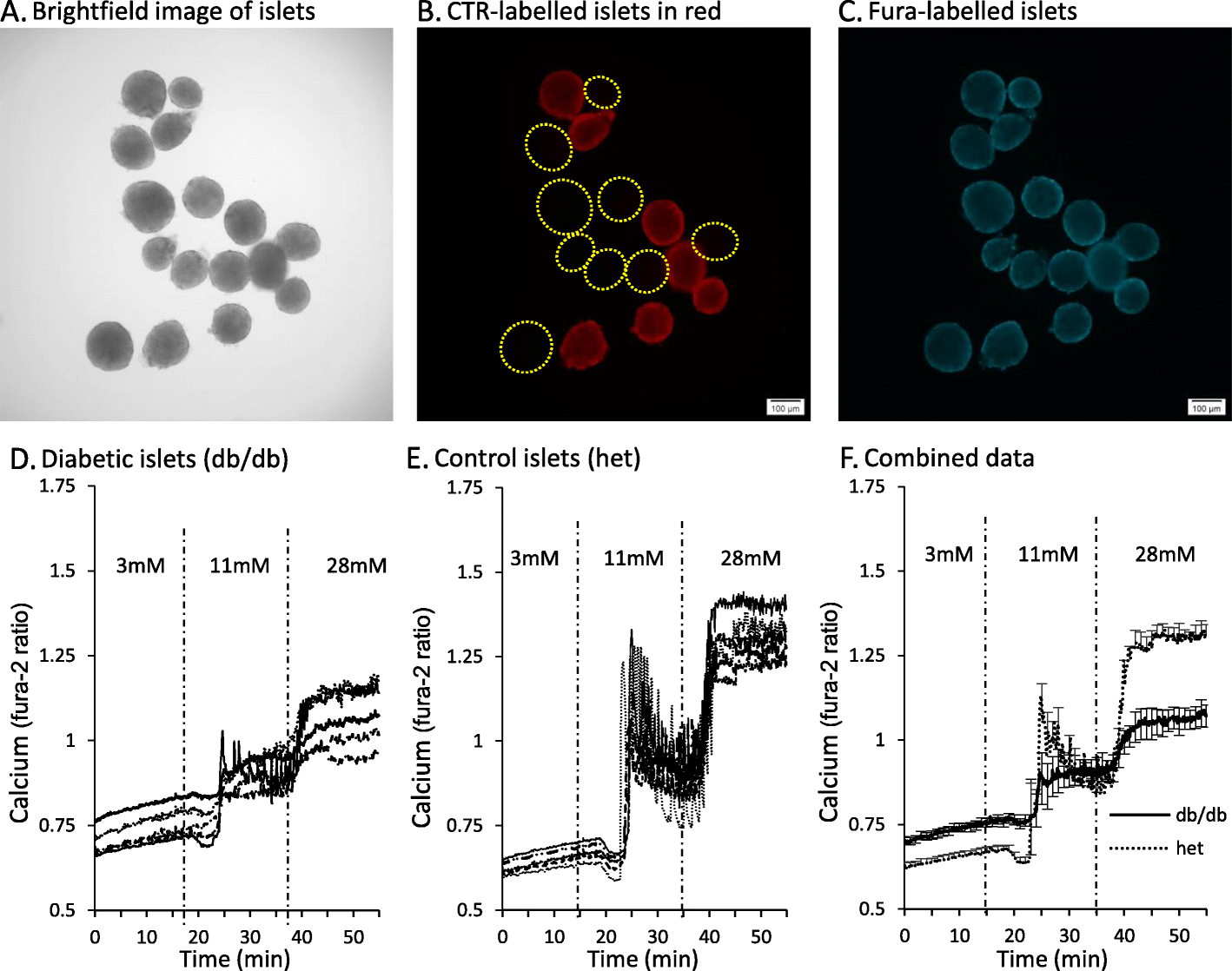 Fig. 10