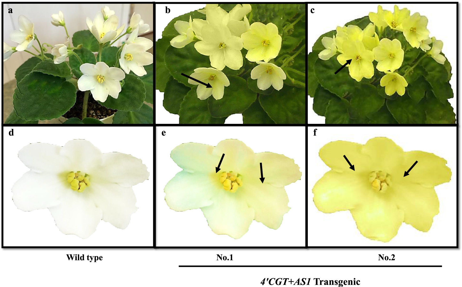 Fig. 4