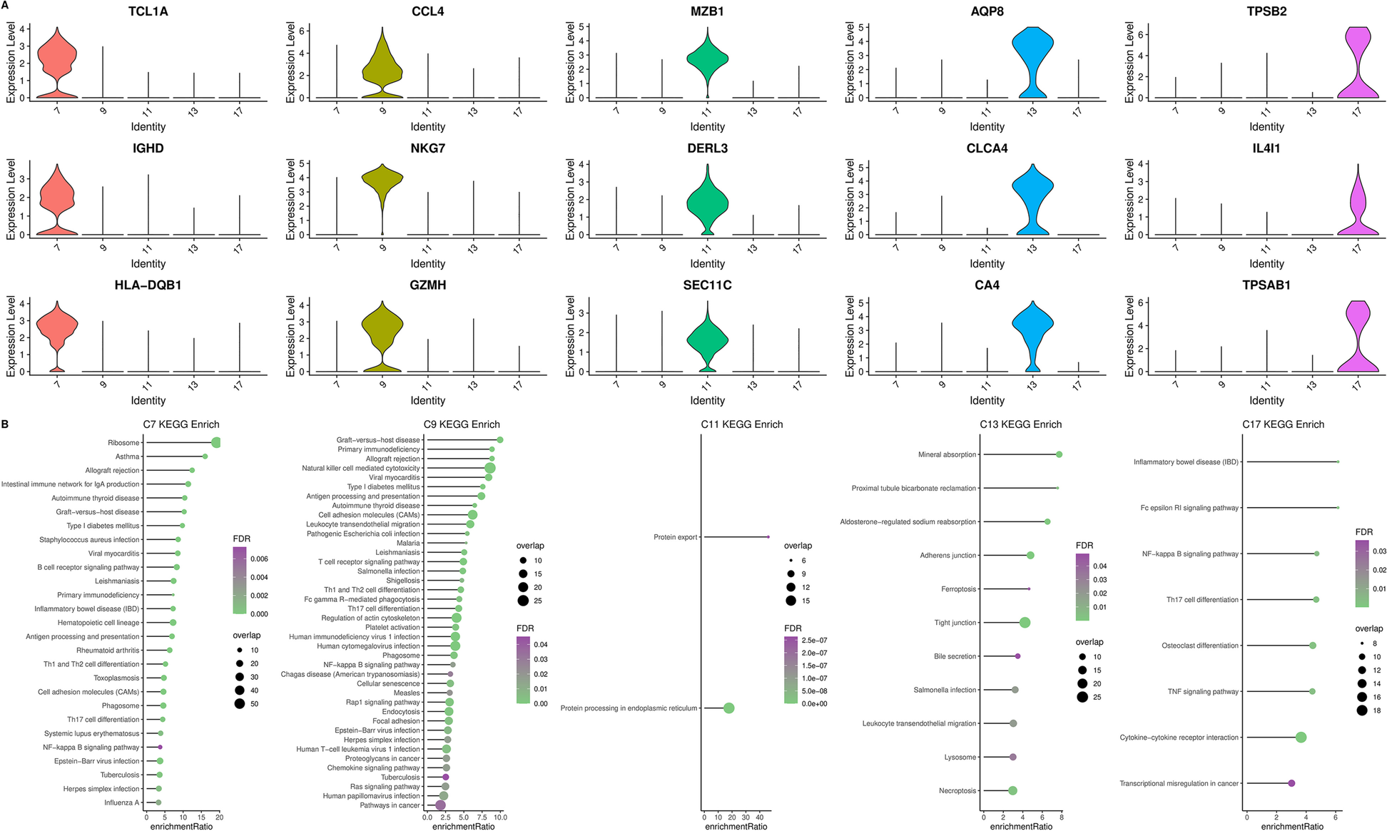 Fig. 2