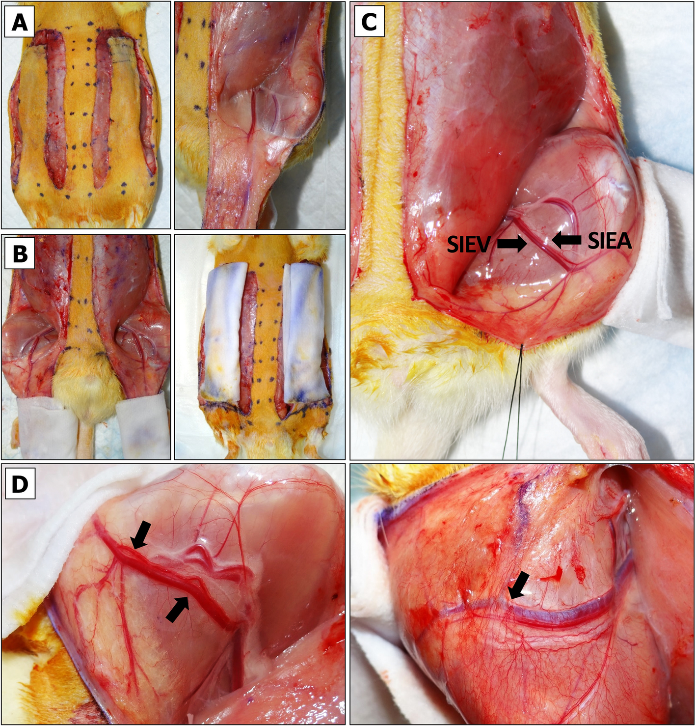 Fig. 4