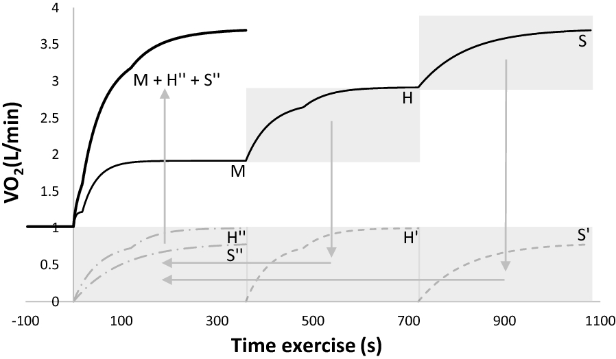 Fig. 1