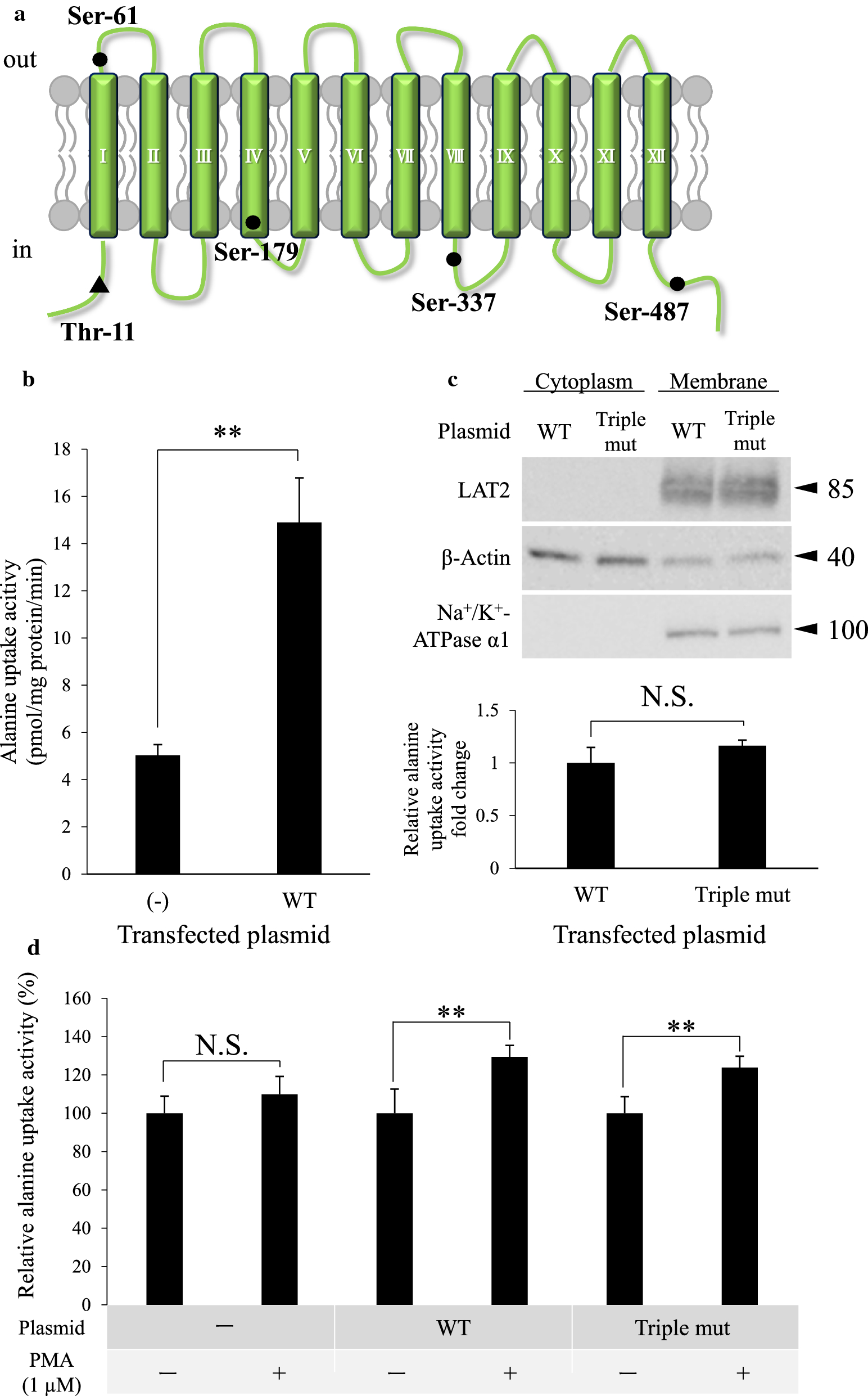 Fig. 4