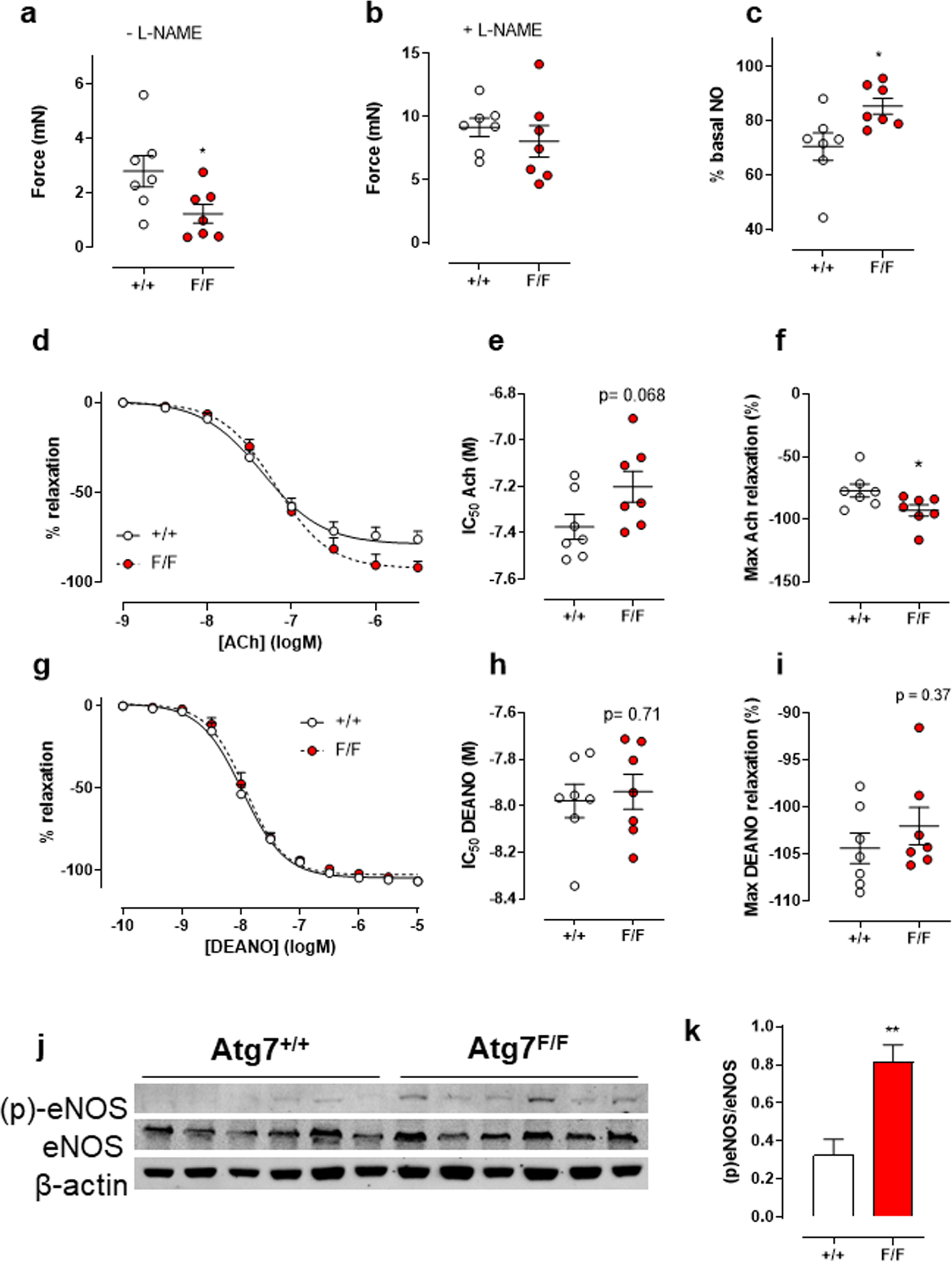 Fig. 10