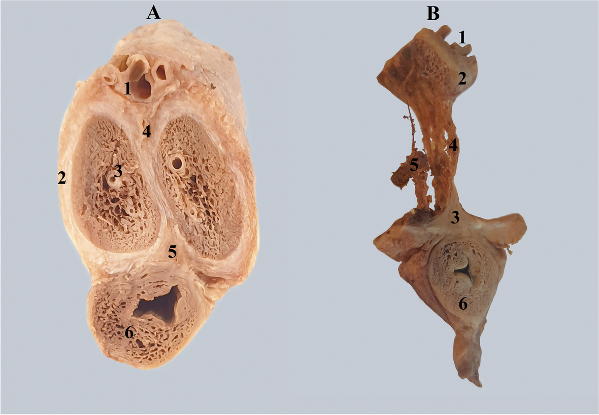 Fig. 3