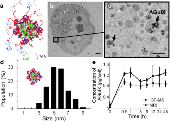 Fig. 1