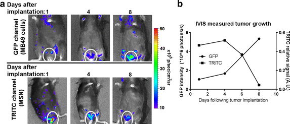 Fig. 3