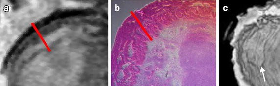 Fig. 8