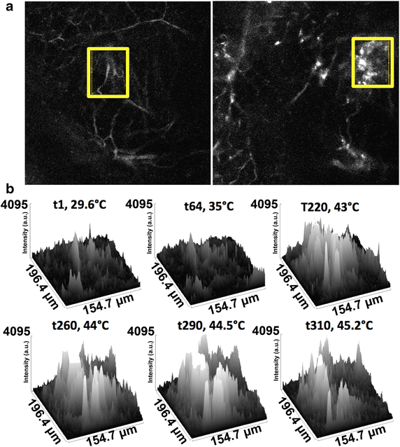 Fig. 9