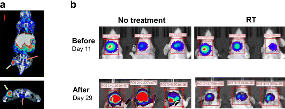 Fig. 2