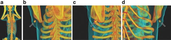 Fig. 3