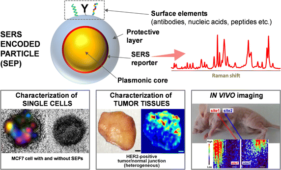 Fig. 1