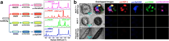 Fig. 3