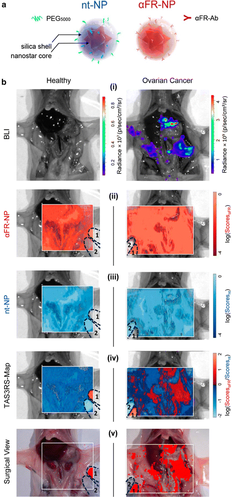 Fig. 9