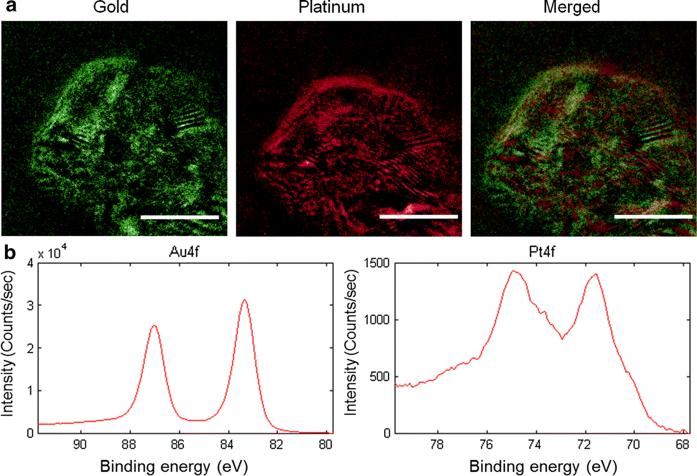 Fig. 2