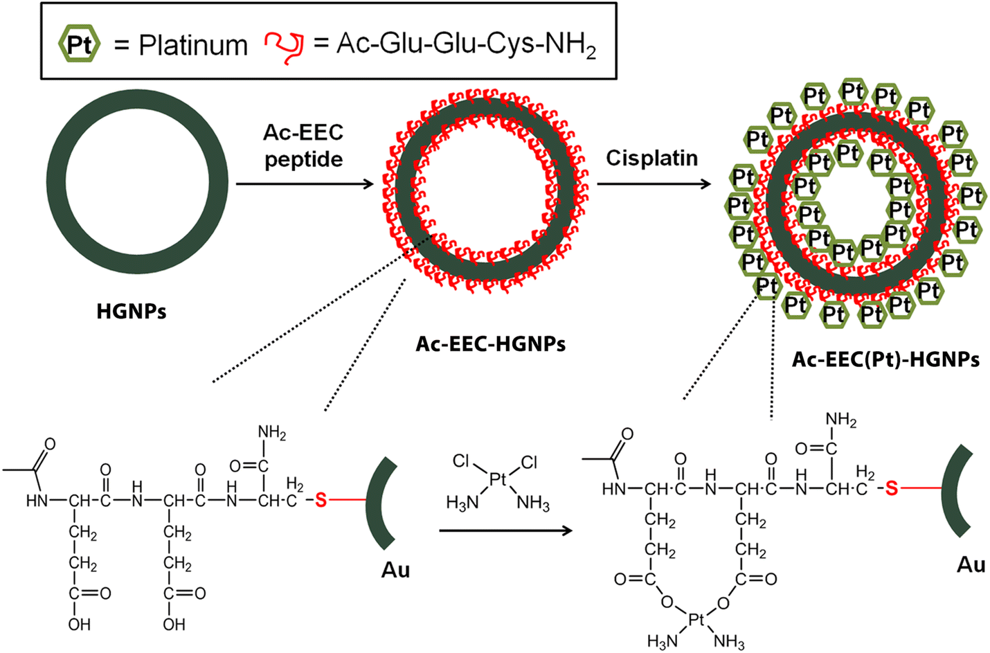 Scheme 1