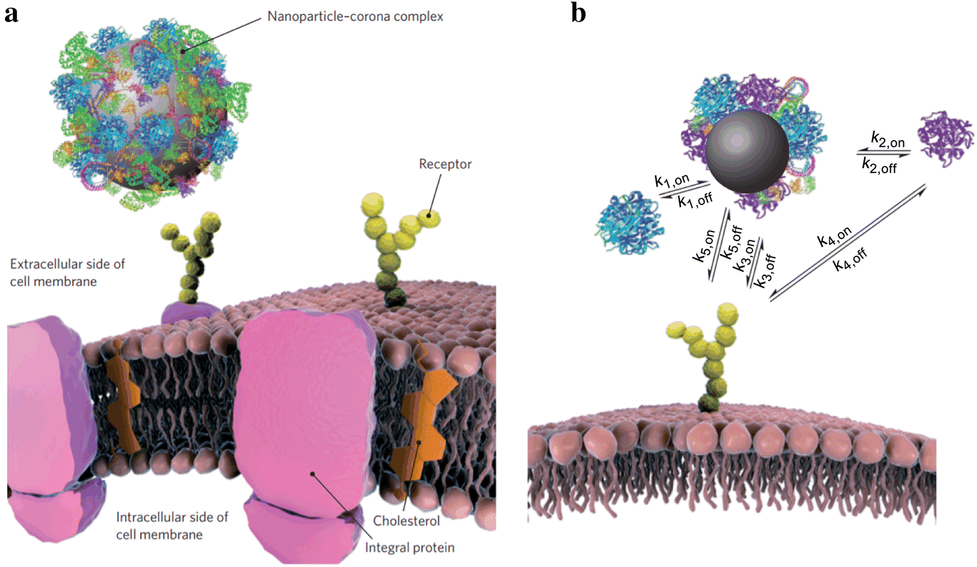 Fig. 9