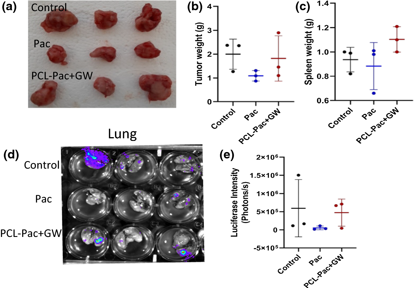 Fig. 13