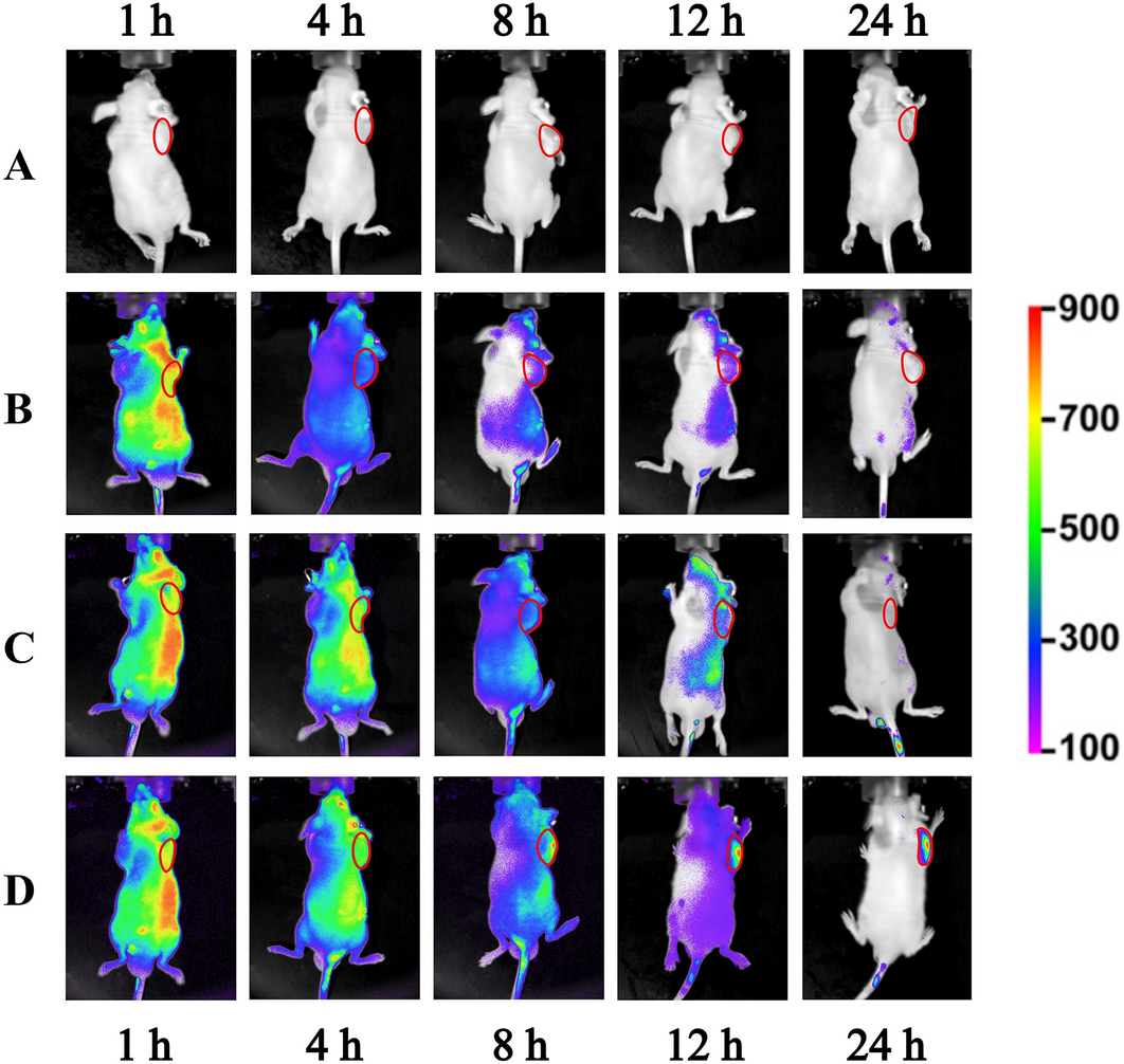 Fig. 6