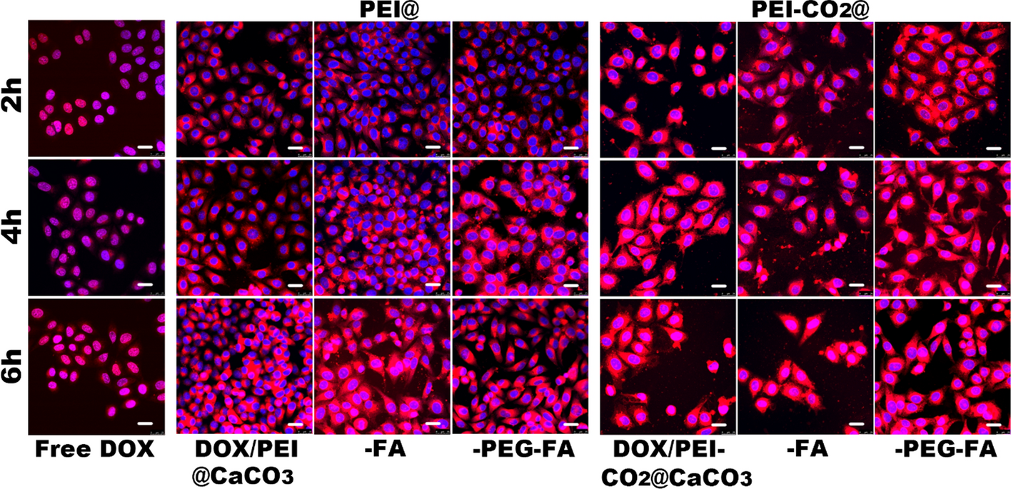 Fig. 9