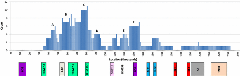 Fig. 3