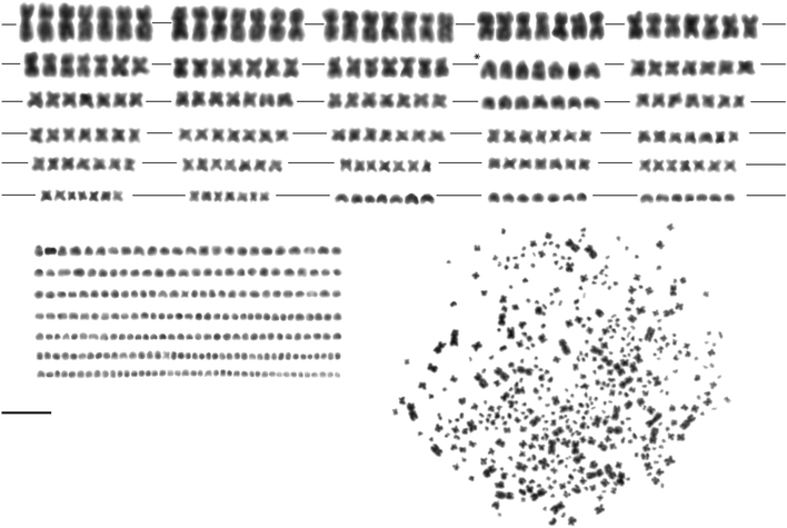 Fig. 1