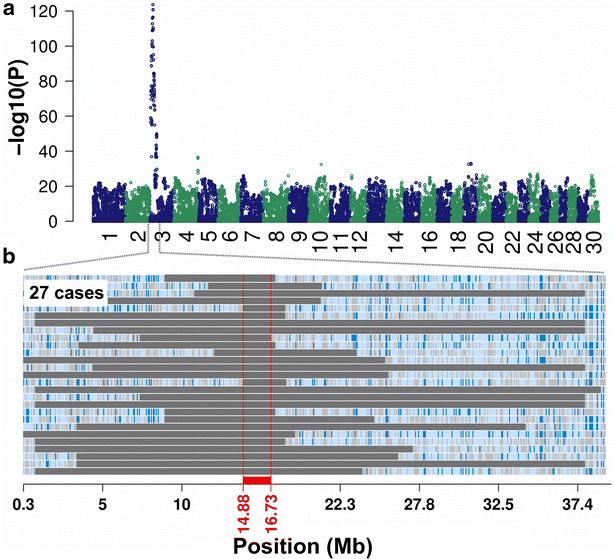 Fig. 2