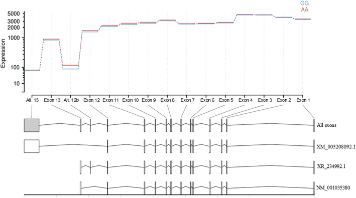 Fig. 5