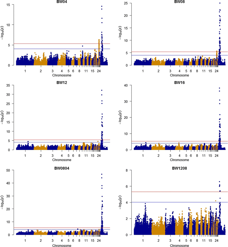 Fig. 2