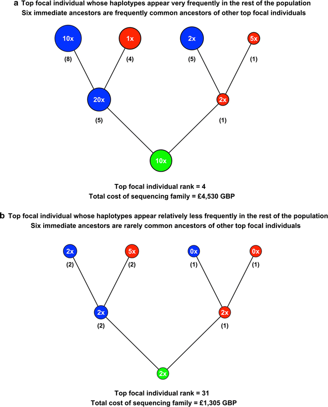 Fig. 5