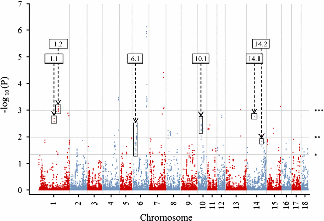 Fig. 1