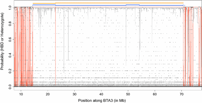 Fig. 7