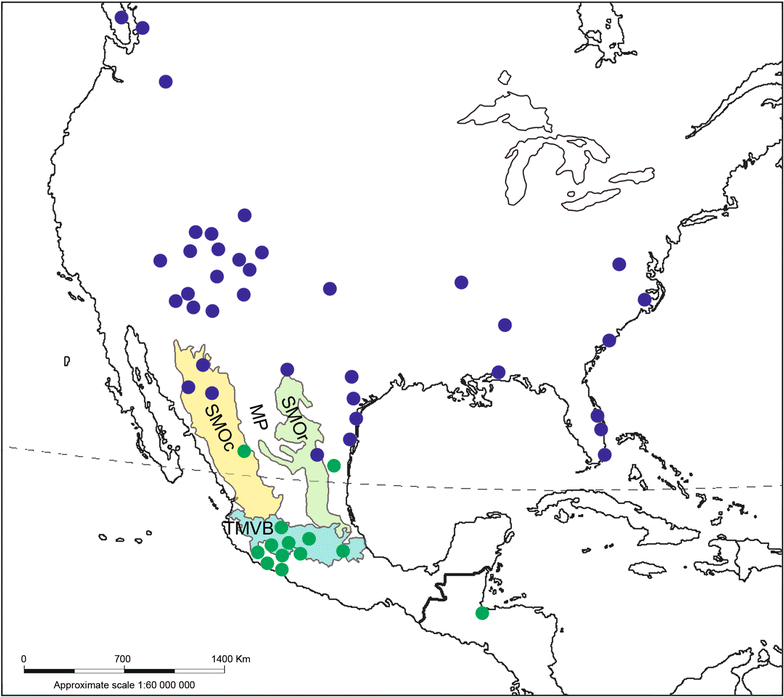 Fig. 1