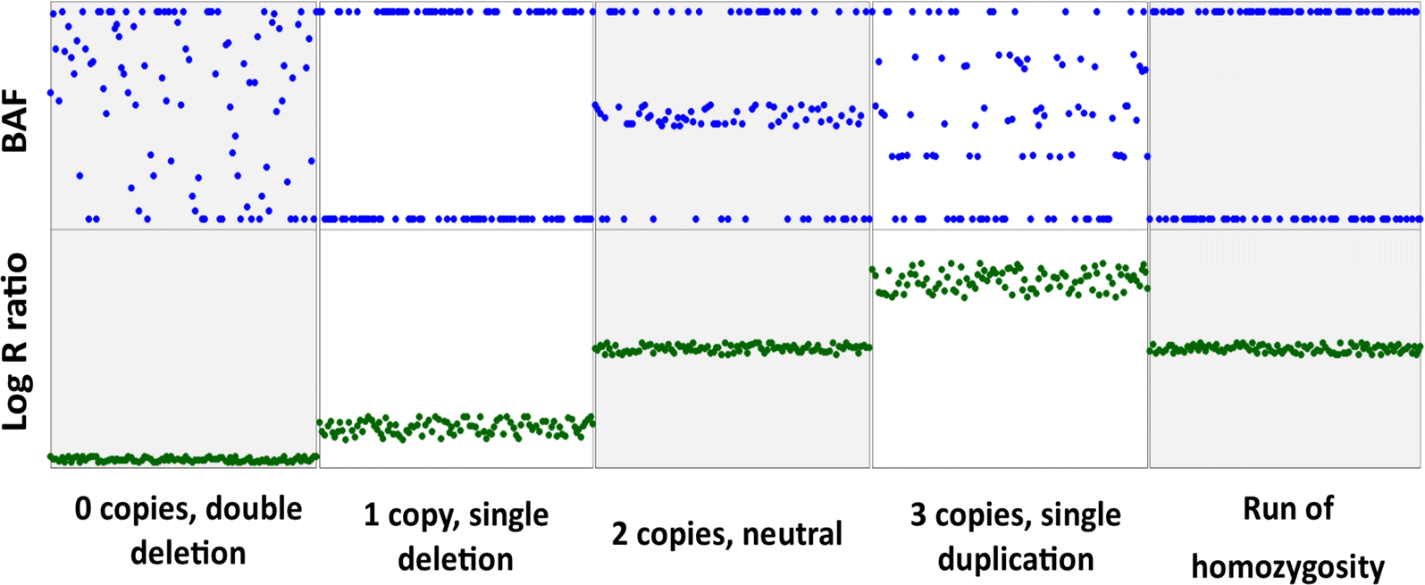 Fig. 1