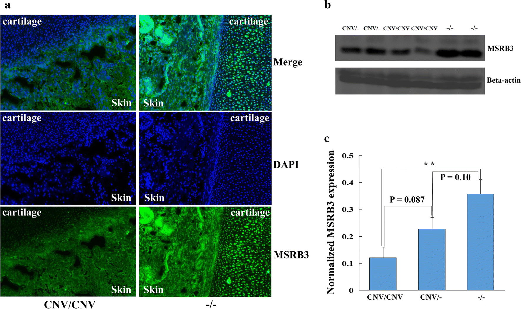 Fig. 6