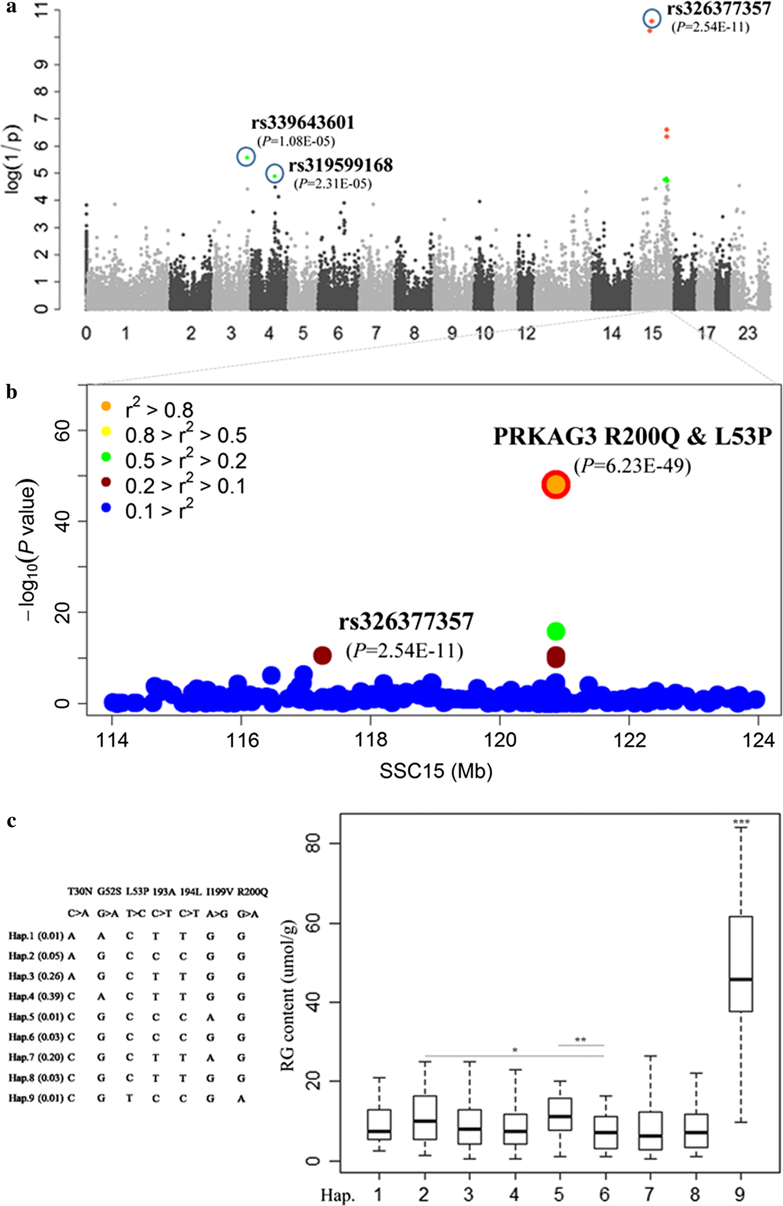 Fig. 1