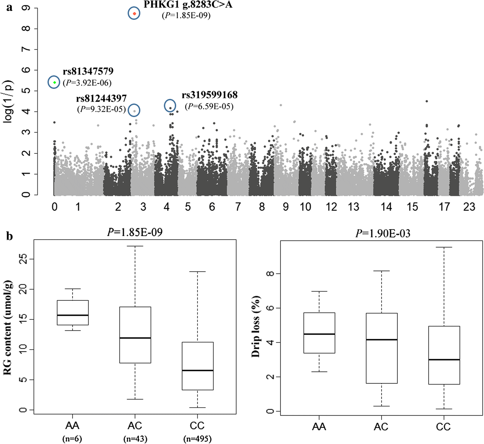 Fig. 2