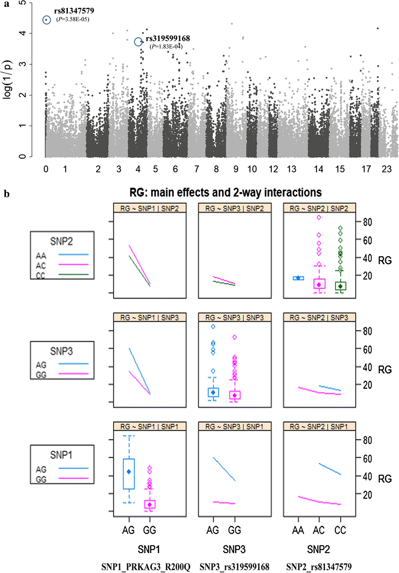 Fig. 4