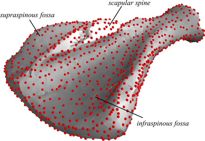 Fig. 1