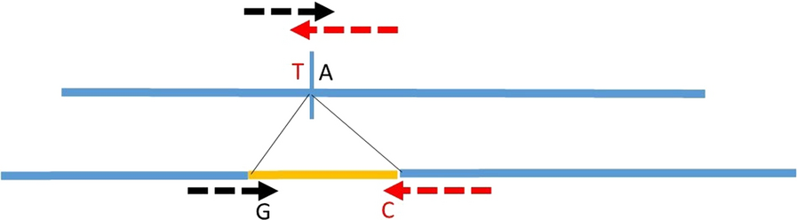 Fig. 1